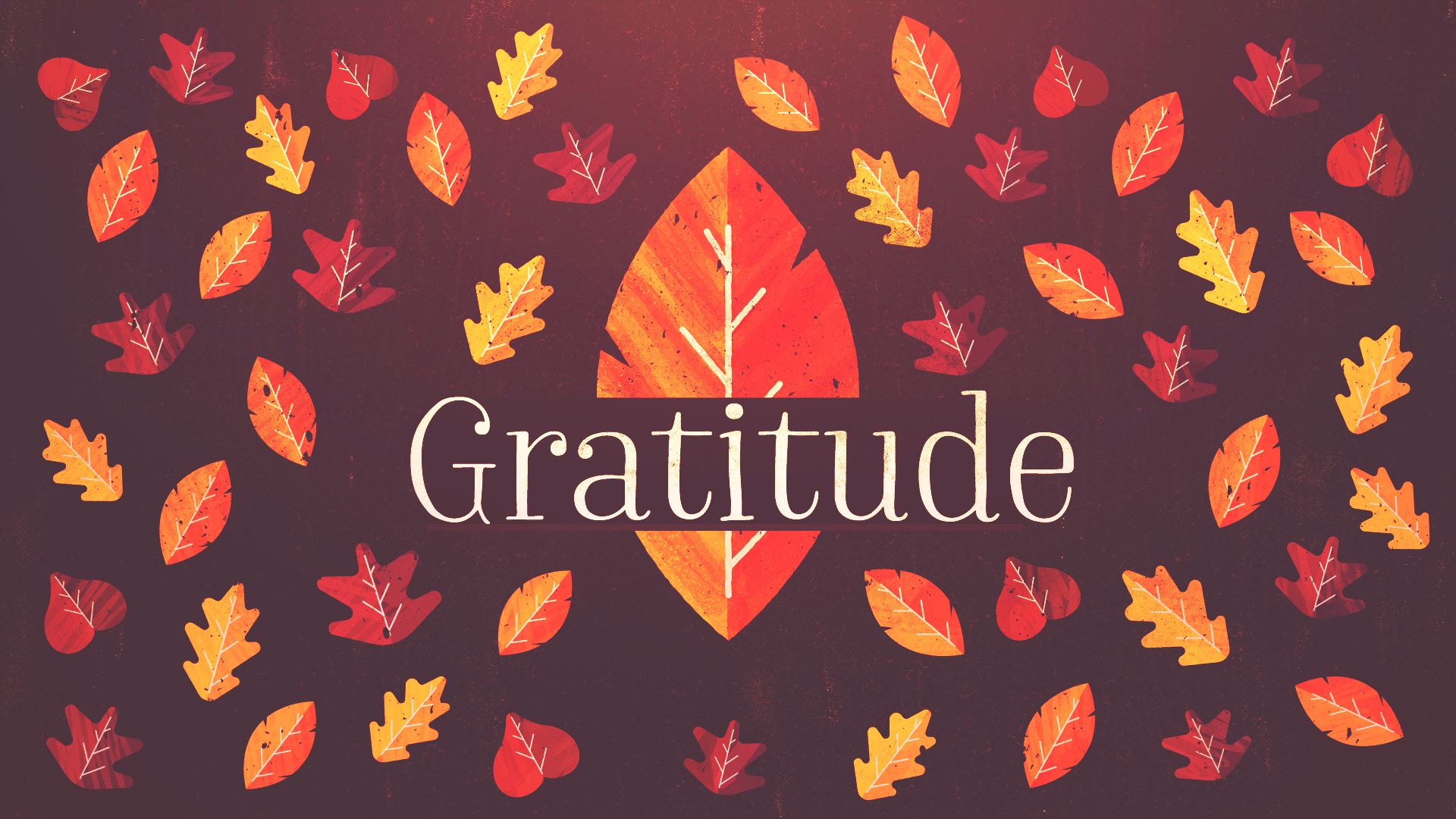 Gratitude (Thanksgiving 2023)